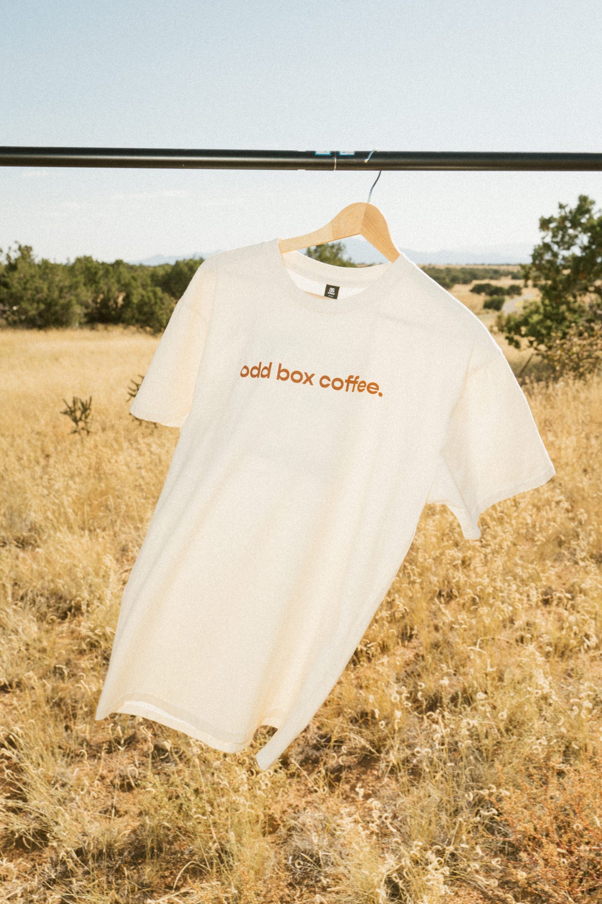 Odd Box Logo T-Shirt